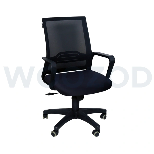 Woozod D3 Low Back Office Chair - Ergonomic Comfort with Premium Style - Image 2