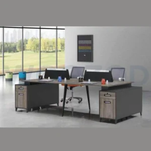 Woozod WS-20 - Contemporary Office Workstation