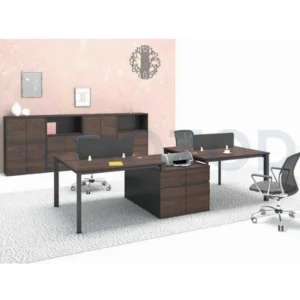 Woozod WS-21 - Modern Office Workstation