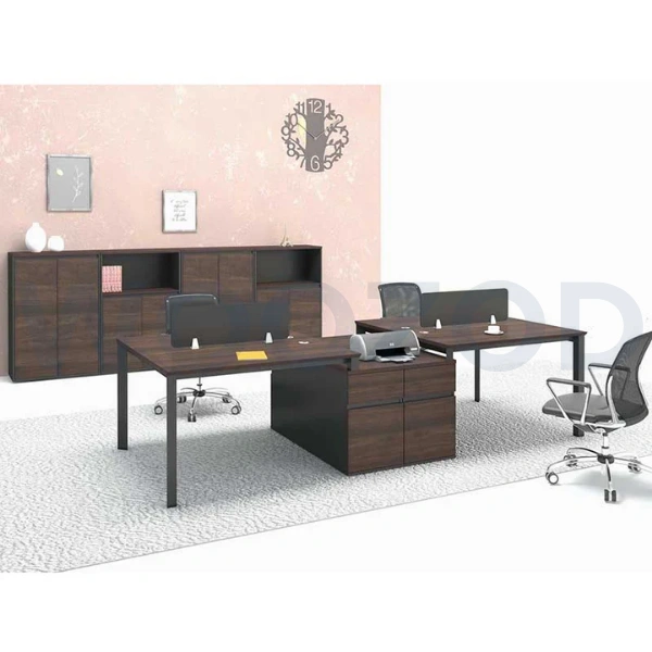 Woozod WS-21 - Modern Office Workstation